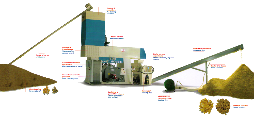 Steam flaking plant for cereals and pulses  - Description of components